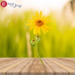 ECONÓMICA POMADA DE ÁRNICA...