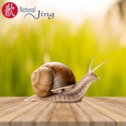 CREMA CAJA VERDE BABA DE...