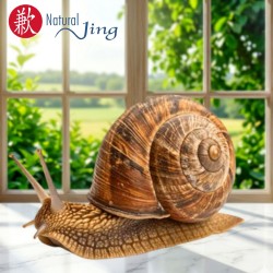 JABÓN BABA DE CARACOL